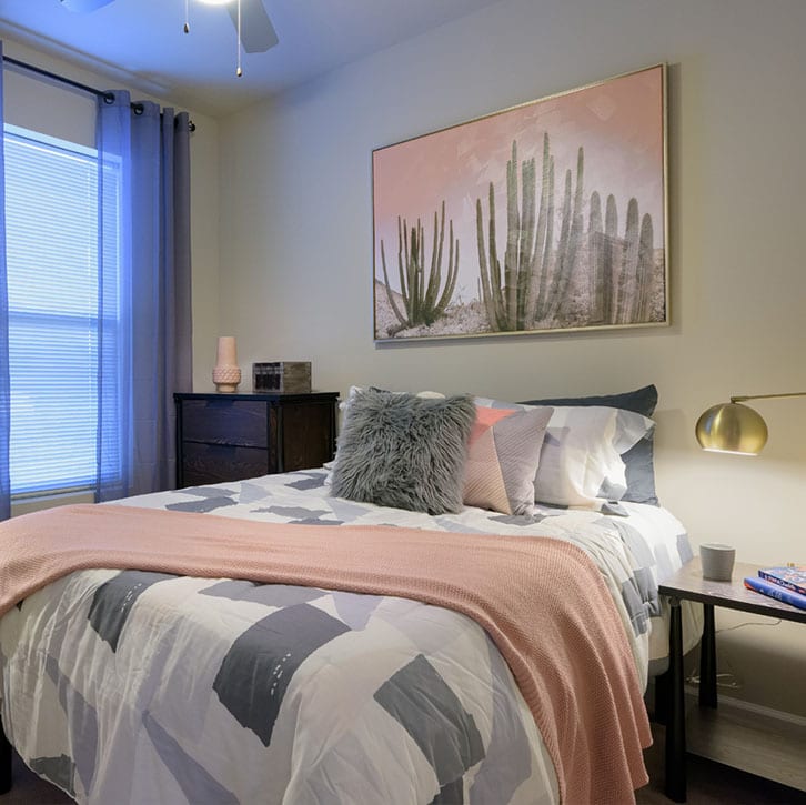 Apartments Near UTK The Standard at Knoxville